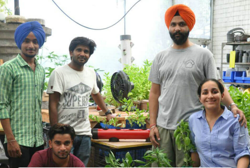 AgriTech Startup Pindfresh Is On A Mission To Bring Urban Farming Revolution In India