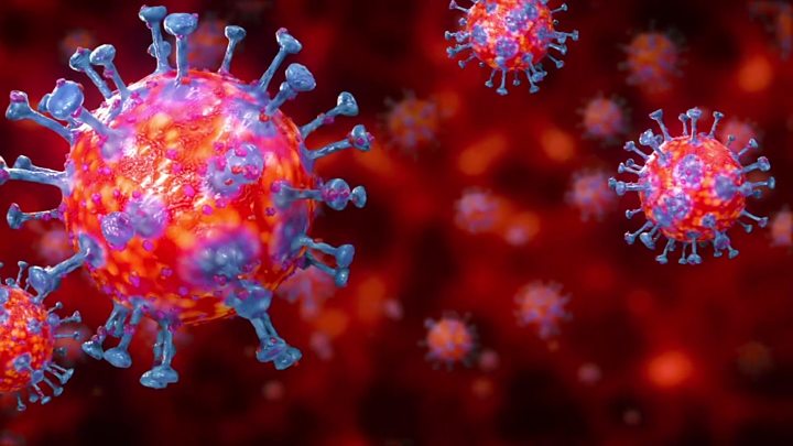 What is Coronavirus (COVID-19) ?
