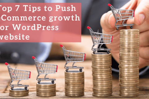 TOP 7 TIPS TO PUSH ECOMMERCE GROWTH FOR WORDPRESS WEBSITE