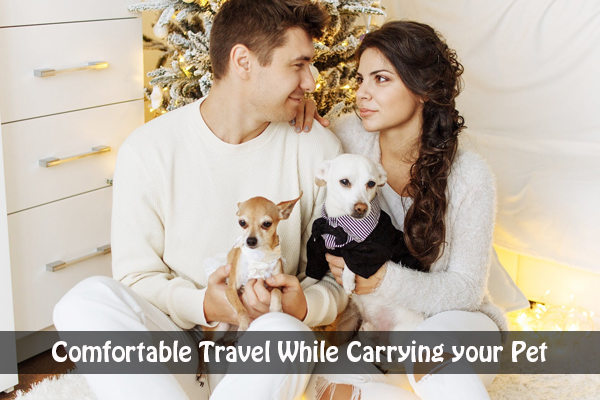 How to Ensure a Comfortable Travel While Carrying your Pet?