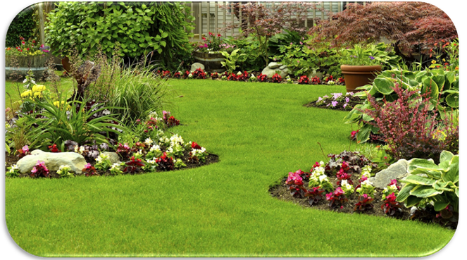 HOW YOU CAN MAKE QUICK MONEY WITH HOME GARDENING SERVICE