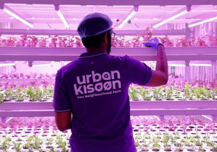 Will This Y Combinator-Backed Startup’s Urban Home Farms Take Root In India?
