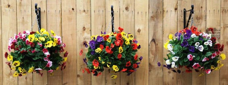 Top 6 Stunning Flowers for Hanging Baskets