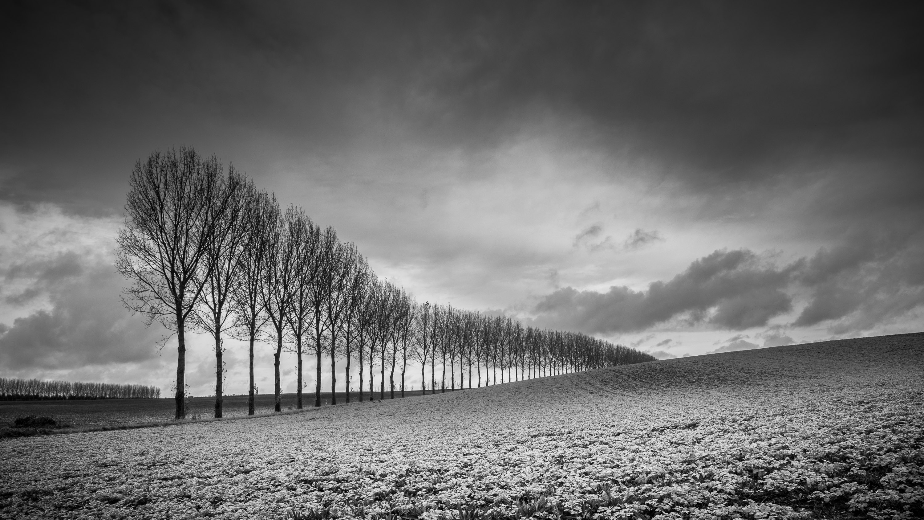 Mastering black and white photography